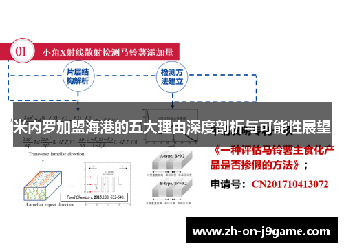 米内罗加盟海港的五大理由深度剖析与可能性展望 米内罗加盟海港的五大理由深度剖析与可能性展望