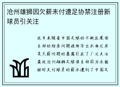 沧州雄狮因欠薪未付遭足协禁注册新球员引关注